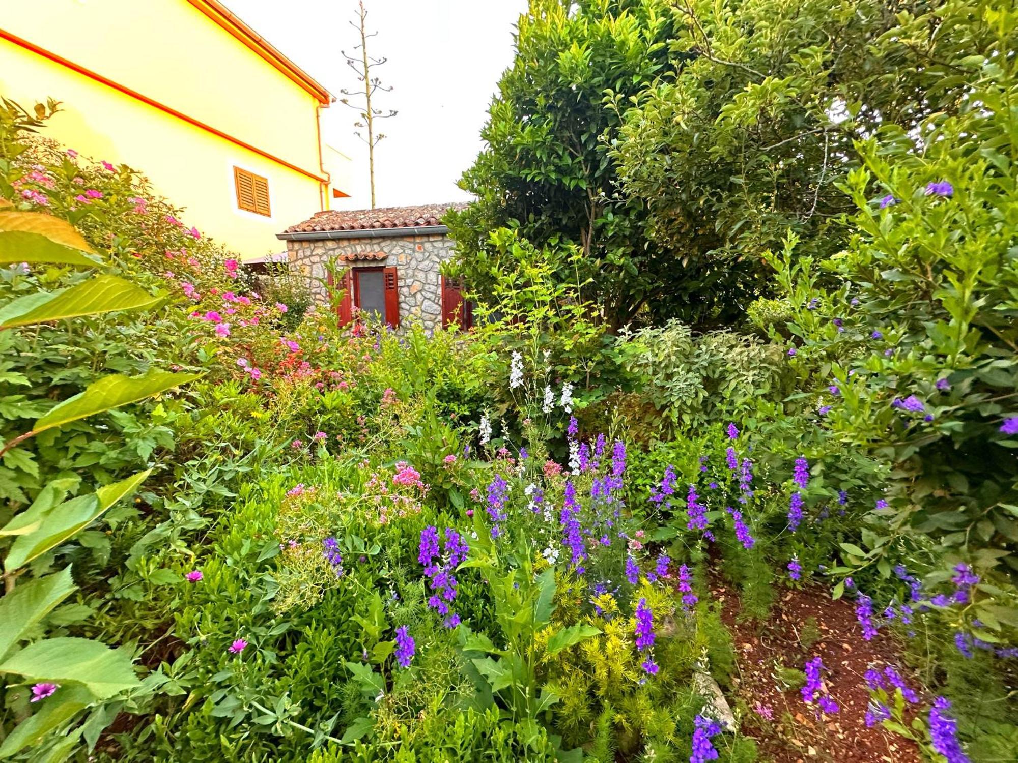 Apartments Cvita Veli Losinj Exterior photo