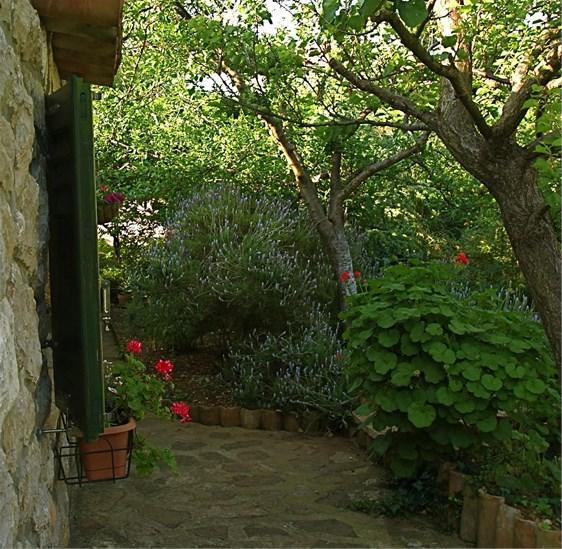 Apartments Cvita Veli Losinj Exterior photo
